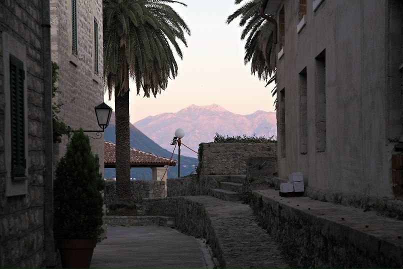 Дмитрий Старицын фотография #35