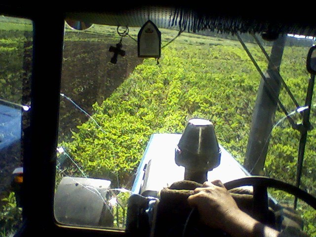 Дмитрий Папиженко фотография #46