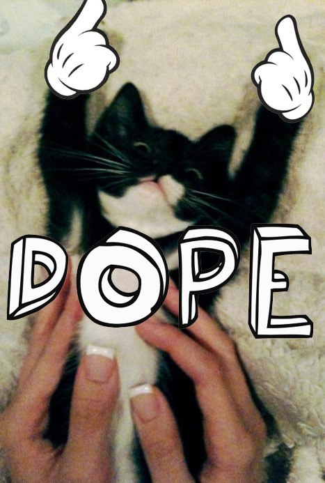 Stanislav Cheban фотография #31