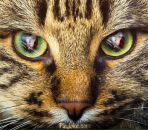 Фотография Ивановой Марии