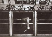 Диня Диня фотография #30 (источник - https://vk.com/id42298321)