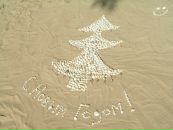 Фотография Богомоловой Марии