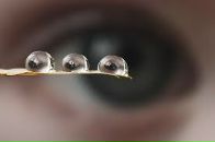 Фотография Михайловой Марины