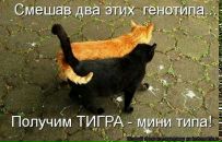 Ірина Федоренко фотография #15 (источник - https://vk.com/id19467268)