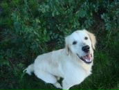 Фотография Водопетовой Анны