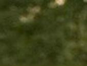 Іван Воробей фотография #47 (источник - https://vk.com/id111441128)