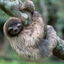 Фотография Майской Таты