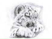 Фотография Налбандяна Тиграна