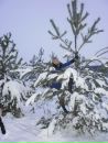 Олена Зінько фотография #25 (источник - https://vk.com/id61321364)