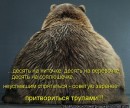 Иришка Венцова фотография #24 (источник - https://vk.com/id4664078)