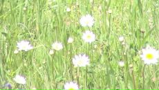 Фотография Лактионовой Татьяны