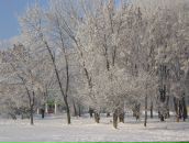 Олена Вітик фотография #7 (источник - https://vk.com/id78120141)