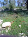 Любовь Ехаускина\Бородкина фотография #24 (источник - https://vk.com/id13317306)