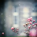 Фотография Анастасия Филатова