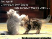 Фотография Яковлевой Яны