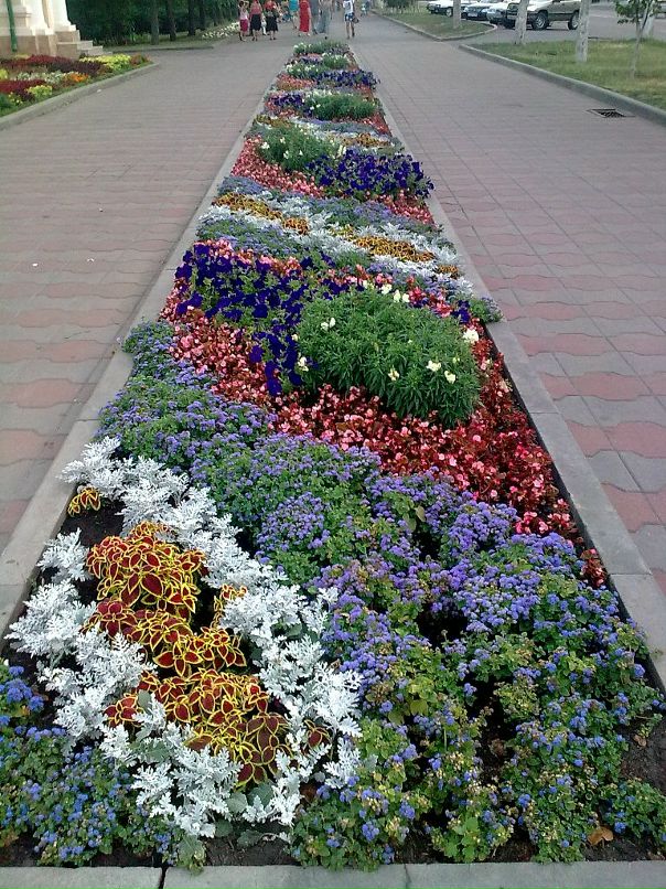 Сергей Жовниренко фотография #10