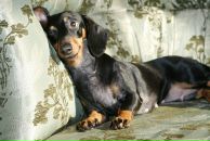 Фотография Конаревой Оксаны