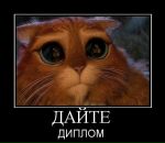 Фотография Зарубина Сергея