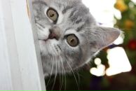 Фотография Ибраевой Светланы