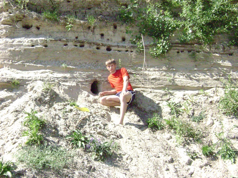 Алексей Мойсенко фотография #45