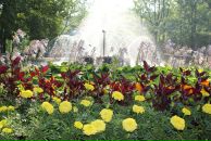 Фотография Таттаевой Наталии