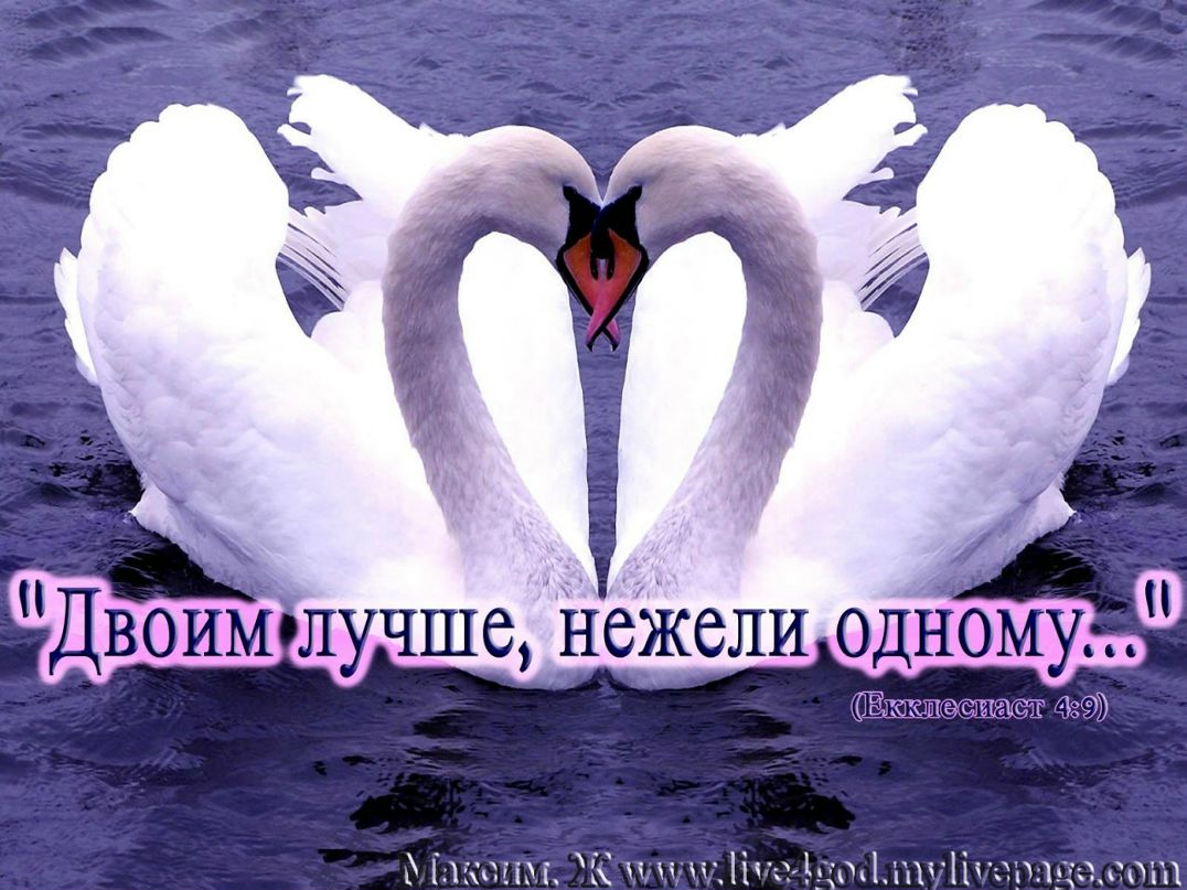Дмитрий Дмитриев фотография #10