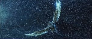 Фотография Гоголина Дмитрия