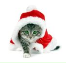 Александр Кононенко фотография #26 (источник - https://vk.com/id640575)