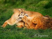 Фотография Борисовой Ирины