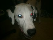 Антон Котов фотография #27 (источник - https://vk.com/id288997)