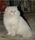 Фотография Поповой Елены