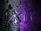 Фотография Демичевой Елены