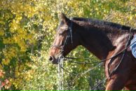 Фотография Вахитовой Алины