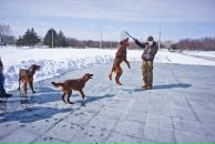 Фотография Блажина Алексея