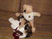 Фотография Васильевой Арины