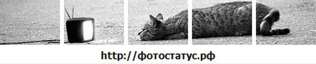 Ліза Науменко фотография #1