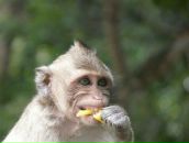 Фотография Затуливетрова Александра