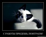 Наталія Ольшанецька фотография #34 (источник - https://vk.com/id24076933)