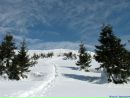 Микола Стражніков фотография #28 (источник - https://vk.com/id3678337)