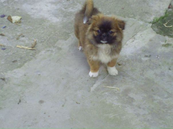 №4, Лера Угляй №4, Лера Угляй