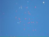 Фотография Гайтан Сергей