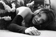 Фотография Лиловой Сливы