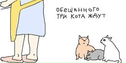 Александра Шарпан фотография #10 (источник - https://vk.com/id21820423)