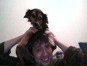 Фотография Pertsevoi Denis