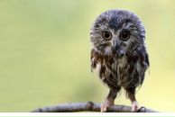 Дарья Шапран фотография #50 (источник - https://vk.com/id667456)