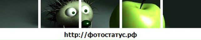 Анатолій Радовенюк фотография #18 (источник - https://vk.com/id88950914)