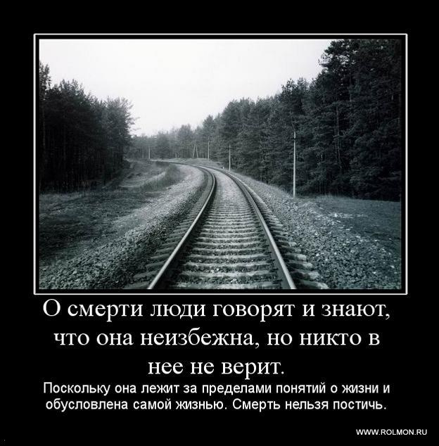 Дмитрий Прокопьев фотография #6