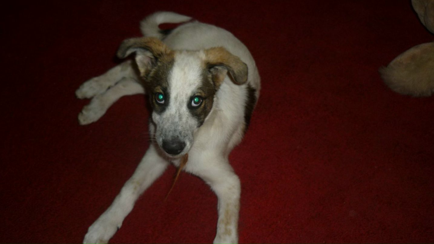 Александр Усов фотография #22