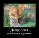 Вова Капітоненко фотография #20 (источник - https://vk.com/id116587870)