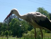 Наталія Яремків фотография #36 (источник - https://vk.com/id96030317)